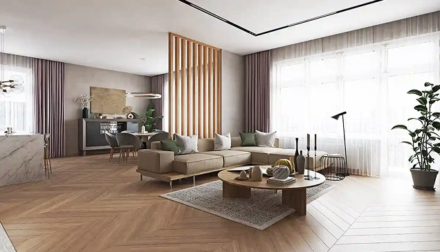Premium living room visual